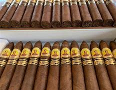 Bolivar Petit Belicoso 2009 Limited Edition